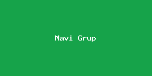 Mavi Grup